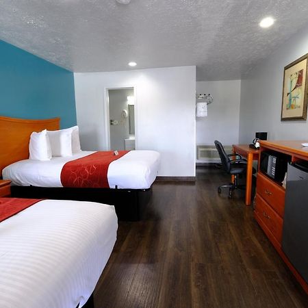 M Star Hotel סרסי מראה חיצוני תמונה