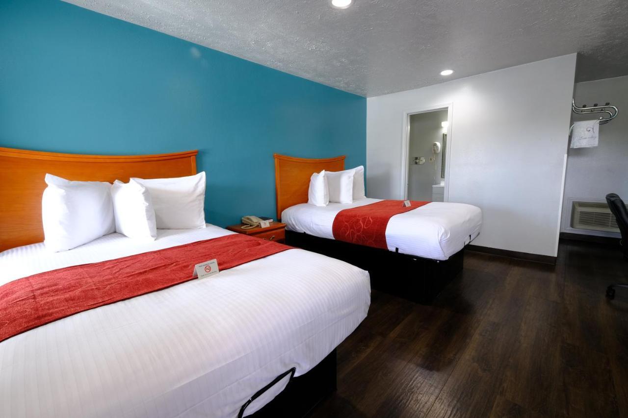 M Star Hotel סרסי מראה חיצוני תמונה