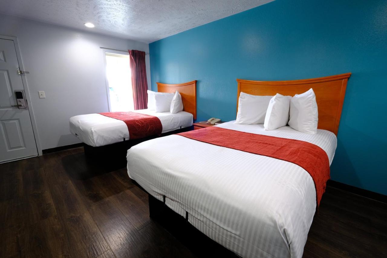 M Star Hotel סרסי מראה חיצוני תמונה