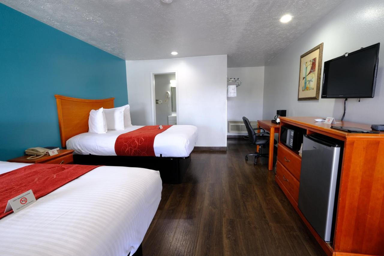M Star Hotel סרסי מראה חיצוני תמונה